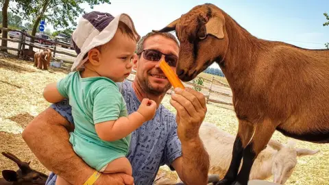 Safari és Családi Élménypark 'Családi' belépőjegy – Vár Titeket Békés megye vadonja! 2