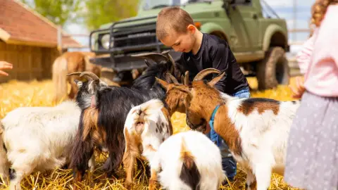 Safari és Családi Élménypark 'Családi' belépőjegy – Vár Titeket Békés megye vadonja! 5