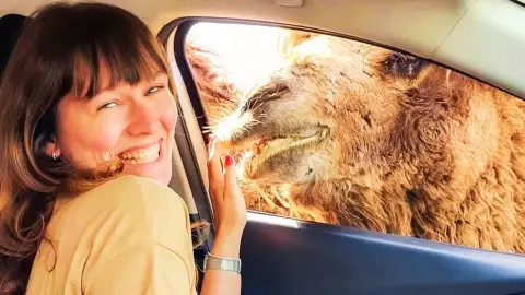 Safari és Családi Élménypark 'Családi' belépőjegy – Vár Titeket Békés megye vadonja! 11