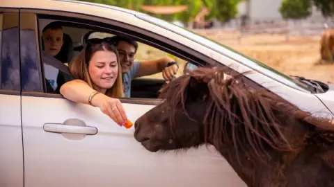 Safari és Családi Élménypark 'Családi' belépőjegy – Vár Titeket Békés megye vadonja! 12