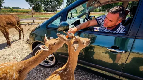 Safari és Családi Élménypark 'Családi' belépőjegy – Vár Titeket Békés megye vadonja! 19
