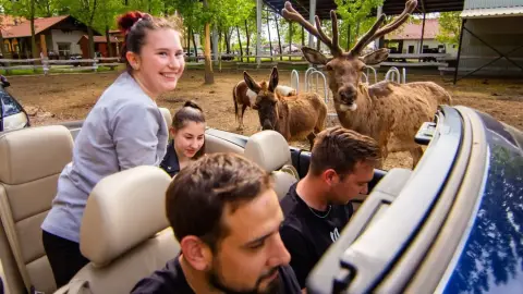 Safari és Családi Élménypark 'Családi' belépőjegy – Vár Titeket Békés megye vadonja! 22