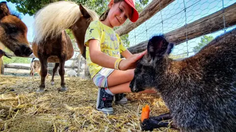 Safari és Családi Élménypark 'Családi' belépőjegy – Vár Titeket Békés megye vadonja! 23