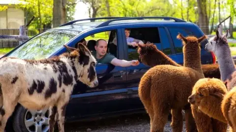 Safari és Családi Élménypark 'Családi' belépőjegy – Vár Titeket Békés megye vadonja! 26