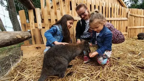 Safari és Családi Élménypark 'Családi' belépőjegy – Vár Titeket Békés megye vadonja! 27