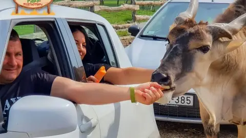 Safari és Családi Élménypark 'Családi' belépőjegy – Vár Titeket Békés megye vadonja! 28