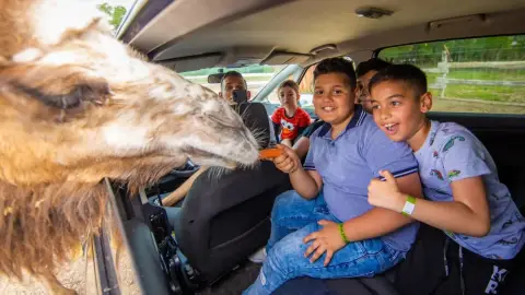Safari és Családi Élménypark 'Családi' belépőjegy – Vár Titeket Békés megye vadonja! 29
