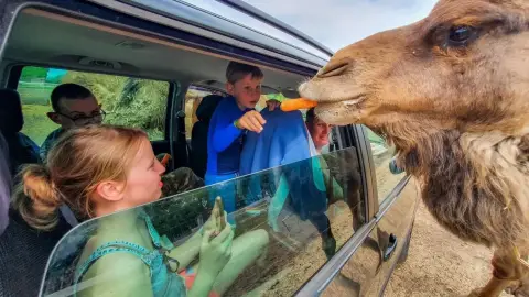 Safari és Családi Élménypark 'Családi' belépőjegy – Vár Titeket Békés megye vadonja! 30