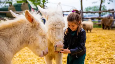 Safari és Családi Élménypark 'Családi' belépőjegy – Vár Titeket Békés megye vadonja! 31