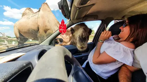 Safari és Családi Élménypark 'Családi' belépőjegy – Vár Titeket Békés megye vadonja! 32