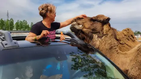 Safari és Családi Élménypark 'Családi' belépőjegy – Vár Titeket Békés megye vadonja! 33