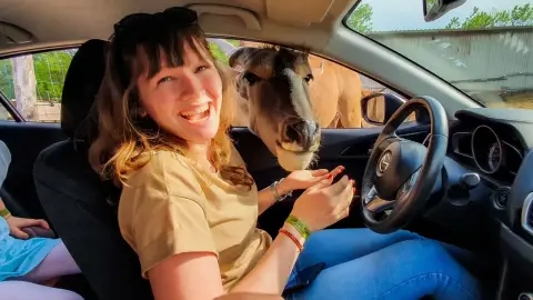 Safari és Családi Élménypark 'Családi' belépőjegy – Vár Titeket Békés megye vadonja! 34