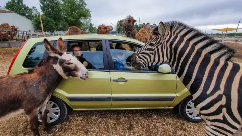 Safari és Családi Élménypark 'Családi' belépőjegy – Vár Titeket Békés megye vadonja! 39