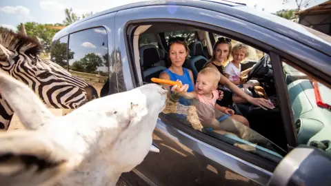 Safari és Családi Élménypark 'Családi' belépőjegy – Vár Titeket Békés megye vadonja! 42