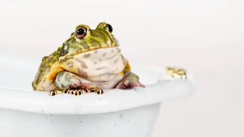 Békaland /World of Adventures szabadtéri játék bringával 3