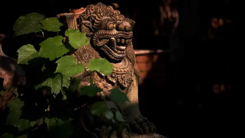 Az elveszett szentély /World of Adventures szabadtéri játék a Hármashatár-hegyen 5