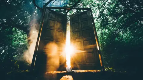 Az Elveszettek Erdeje /World of Adventures szabadtéri játék 3