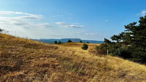 A Gróf halála /World of Adventure szabadtéri játék Nagykovácsiban 3