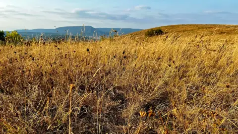 A Gróf halála /World of Adventure szabadtéri játék Nagykovácsiban 5