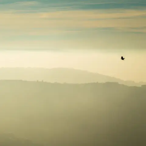 Ha leszáll a köd… /World of Adventures szabadtéri játék bringával Balatonszemesen