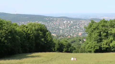 A Mágus ládikója /World of Adventures szabadtéri játék Hűvösvölgyben 1