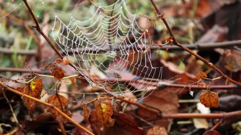A Mágus ládikója /World of Adventures szabadtéri játék Hűvösvölgyben 3