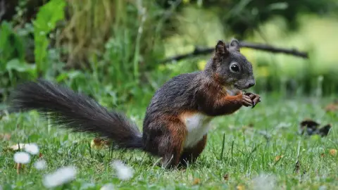 A Mágus ládikója /World of Adventures szabadtéri játék Hűvösvölgyben 5