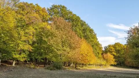 A Mágus ládikója /World of Adventures szabadtéri játék Hűvösvölgyben 9