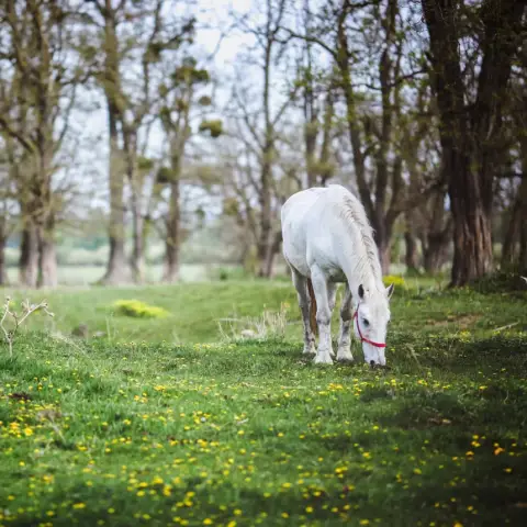 Mint Marci Hevesen /World of Adventures szabadtéri játék Debrecenben