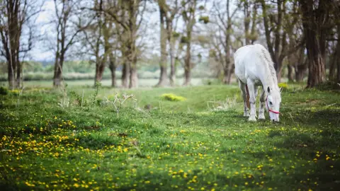 Mint Marci Hevesen /World of Adventures szabadtéri játék Debrecenben 4