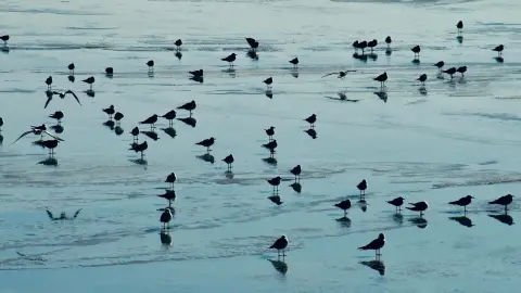 Ravasz szörnyek tava /World of Adventures szabadtéri játék a Tatai-tónál 2