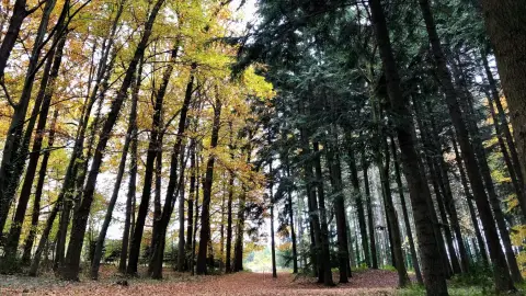 Ravasz szörnyek tava /World of Adventures szabadtéri játék a Tatai-tónál 3