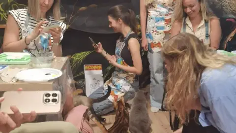Akril élményfestés cicákkal - Workshop 14