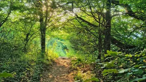 Belle-Aire Deux alpesi faház – 2 éjszaka a hegyekben, Mátraszentimrén (Hétköznap) 8