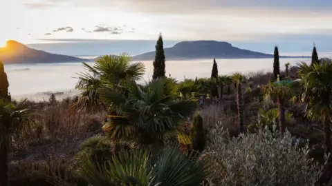 Balatoni panoráma, prémium menü és mediterrán botanikus kert belépő 2 fő részére 6