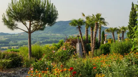 Balatoni panoráma, prémium menü és mediterrán botanikus kert belépő 2 fő részére 14