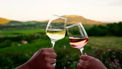 Balatoni panoráma, prémium menü és mediterrán botanikus kert belépő 2 fő részére 26