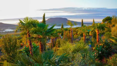 Balatoni panoráma, prémium menü és mediterrán botanikus kert belépő 2 fő részére 27