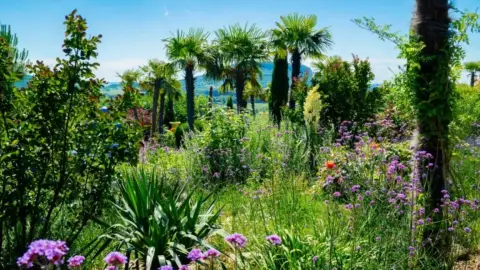 Balatoni panoráma, prémium menü és mediterrán botanikus kert belépő 2 fő részére 28
