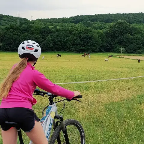 Tekerj Anyával a Budai-hegyekben! – Vezetett E-bike túra választható útvonallal