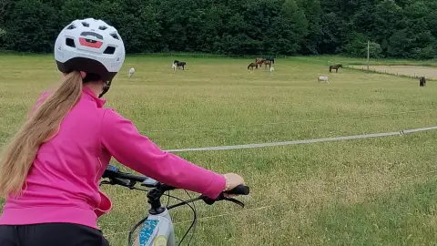 Vezetett E-bike túra: Szakrális helyek a Budai-hegyekben! 5