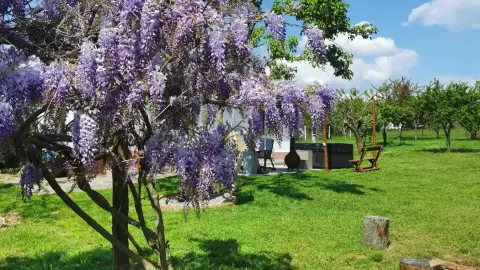 Csobbanj a panorámába! – 2 éjszakás pihenés kettesben Szigetváron 5