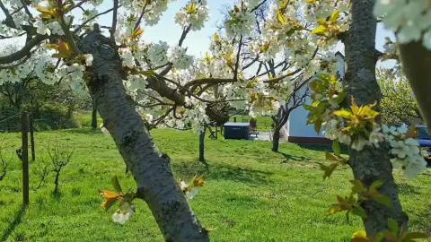 Csobbanj a panorámába! – 2 éjszakás pihenés kettesben Szigetváron 11