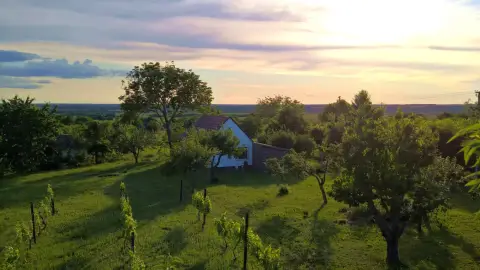 Csobbanj a panorámába! – 2 éjszakás pihenés kettesben Szigetváron 9