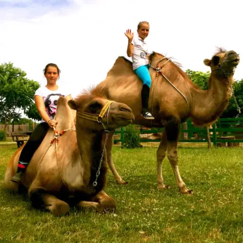 Családi élménynap a Bella Állatparkban, Siófokon