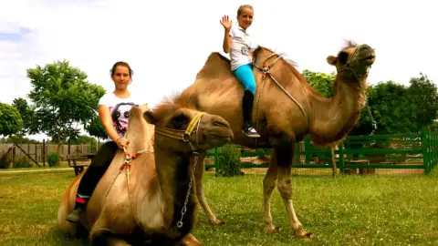 Családi élménynap a Bella Állatparkban, Siófokon 27