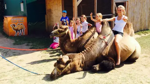 Családi élménynap a Bella Állatparkban, Siófokon 3