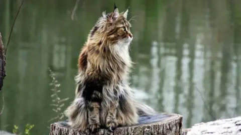 Családi élménynap a Bella Állatparkban, Siófokon 4