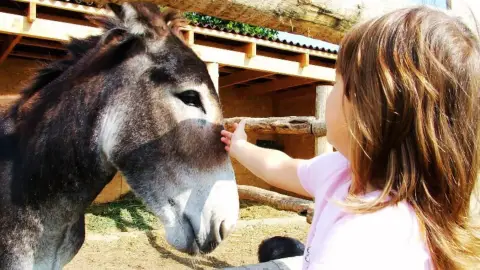 Családi élménynap a Bella Állatparkban, Siófokon 5
