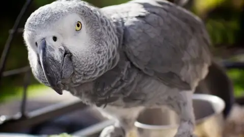 Családi élménynap a Bella Állatparkban, Siófokon 8